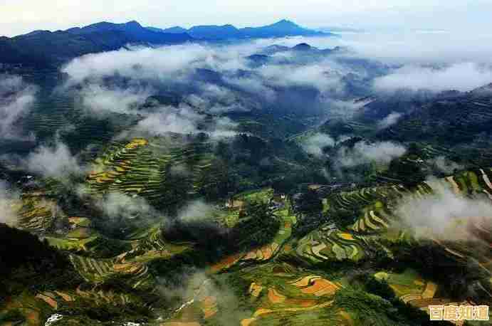 精选相机天梯图指南：助你找到完美设备，提升摄影创作体验！