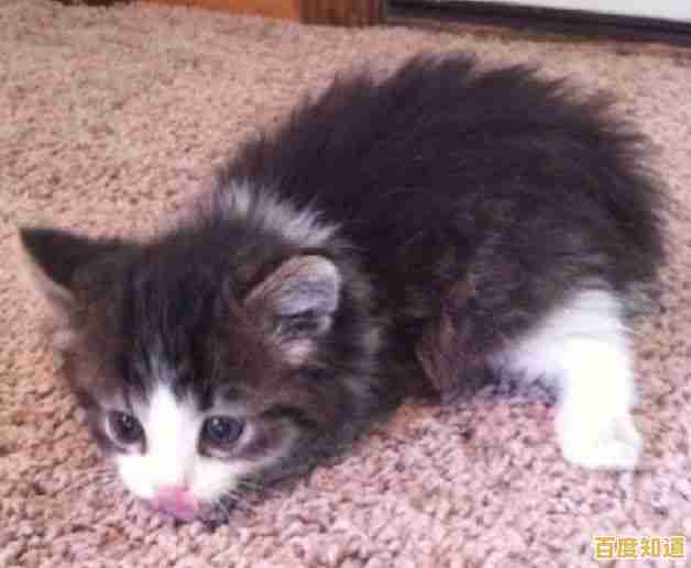 激活锁：守护您的财产安全，打造无忧数字生活新体验