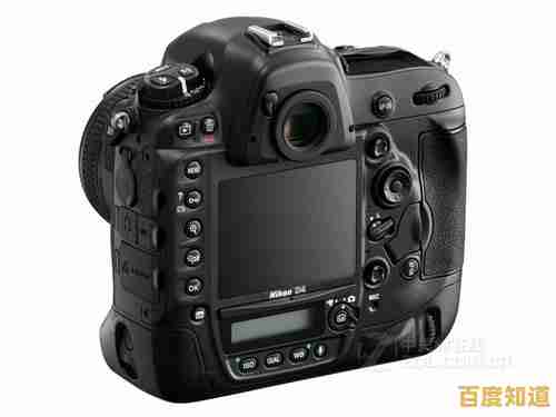掌握尼康相机天梯图阅读技巧，快速定位理想机型