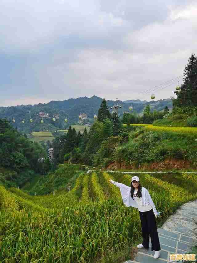 最新移动显卡天梯图发布：2022年度笔记本显卡性能深度对比