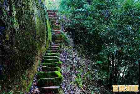 苹果芯片性能天梯指南:详细对比助你做出最佳设备选择 苹果芯片性能天梯指南:详细对比助你做出最佳设备选择