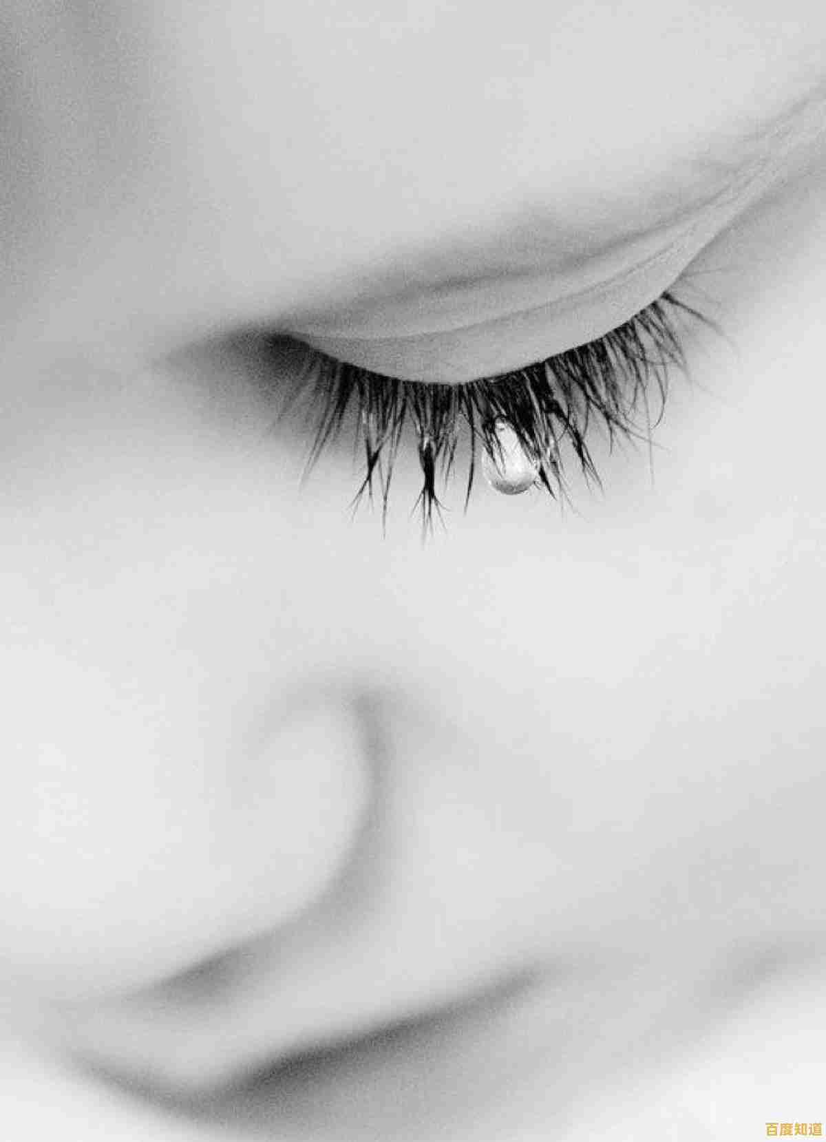 还在寻找简单易上手的射击游戏？机器人愤怒》让你用智慧与火力主宰战场！