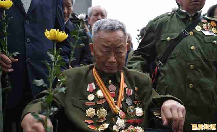 探索QQ勋章查看途径：全面了解您的账号荣誉与成就展示