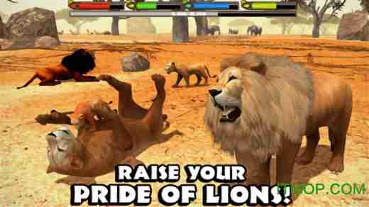 关卡模式or无尽模式?荒野动物狮子模拟》哪款玩法更吸引你? 关卡模式or无尽模式?荒野动物狮子模拟》哪款玩法更吸引你?