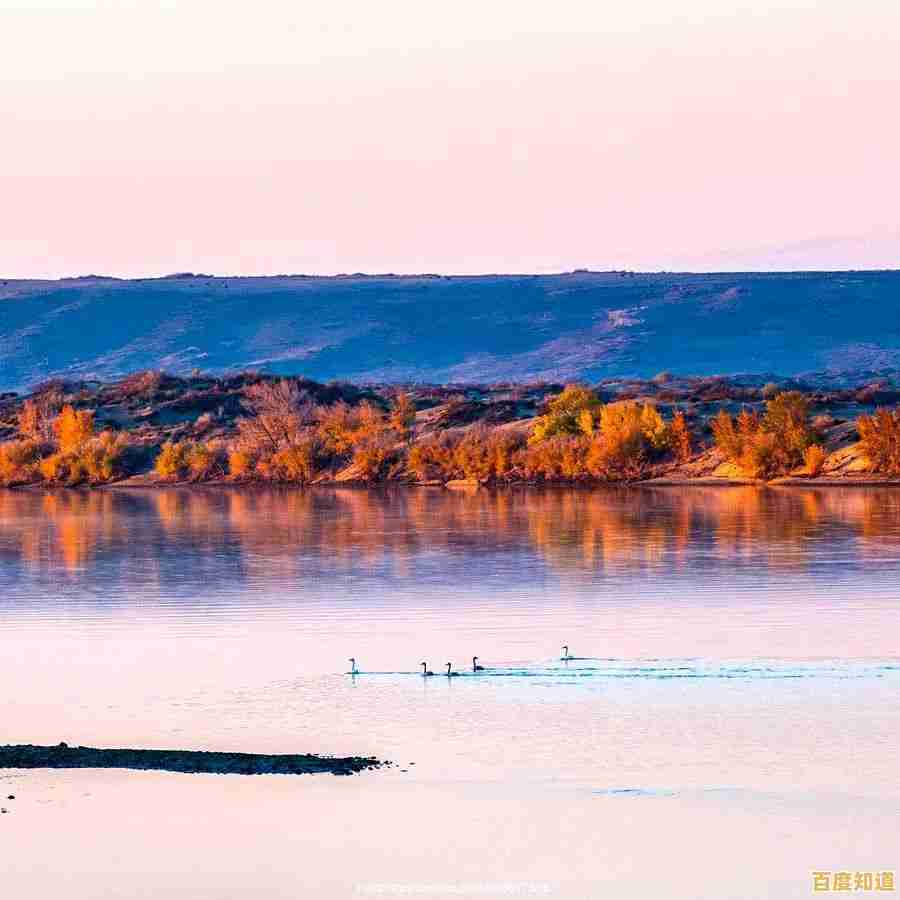 全新升级西部数据SSD天梯图：高速大容量兼备，为专业工作流程加速