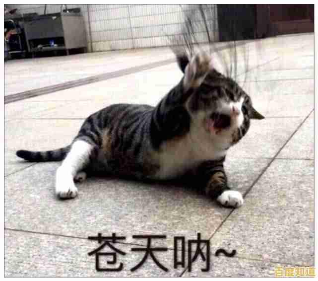 还在寻找休闲解压游戏？猫和老鼠的复古趣味玩法你岂能错过！