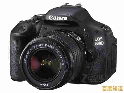 单反相机选购指南：从佳能到尼康，全方位对比各品牌性能