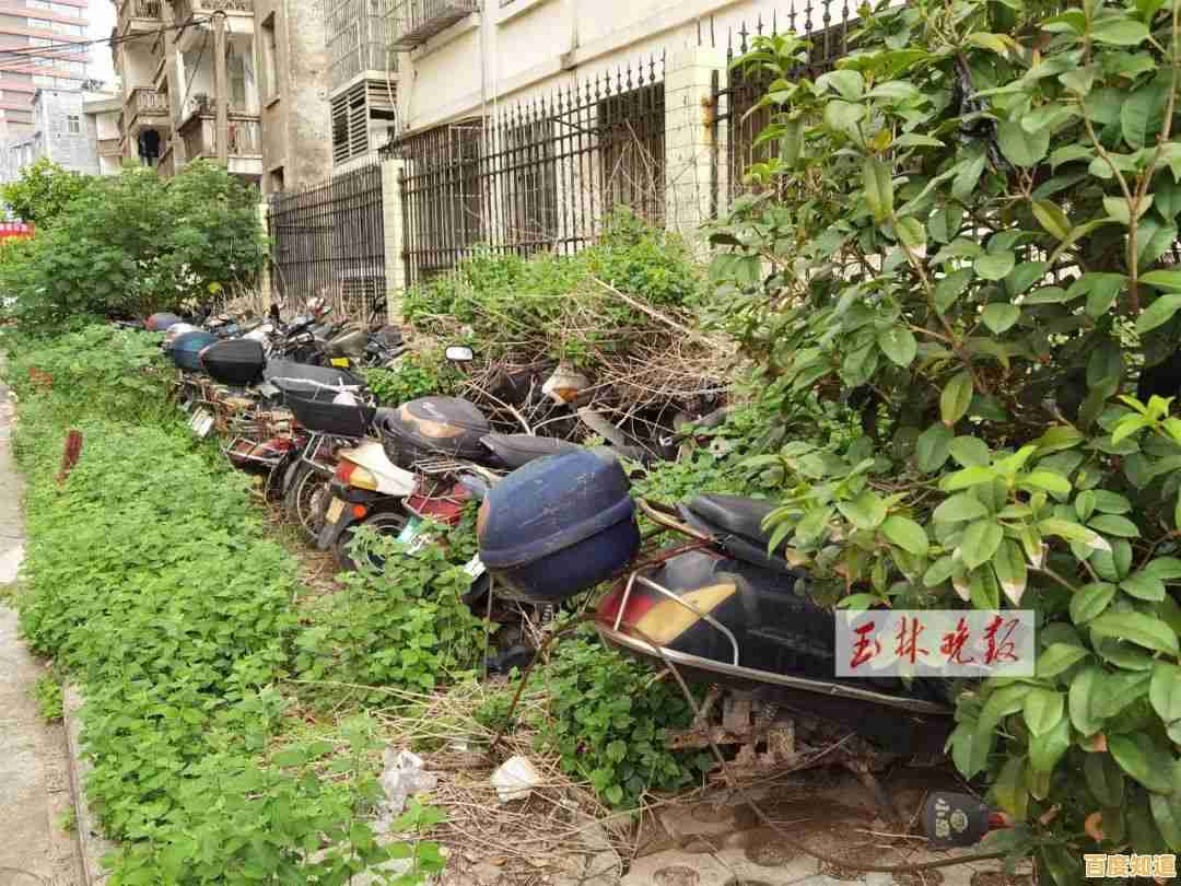 夜晚僵尸来袭,你的家园能守住吗?生存大世界中文版》考验你的智慧! 夜晚僵尸来袭,你的家园能守住吗?生存大世界中文版》考验你的智慧!