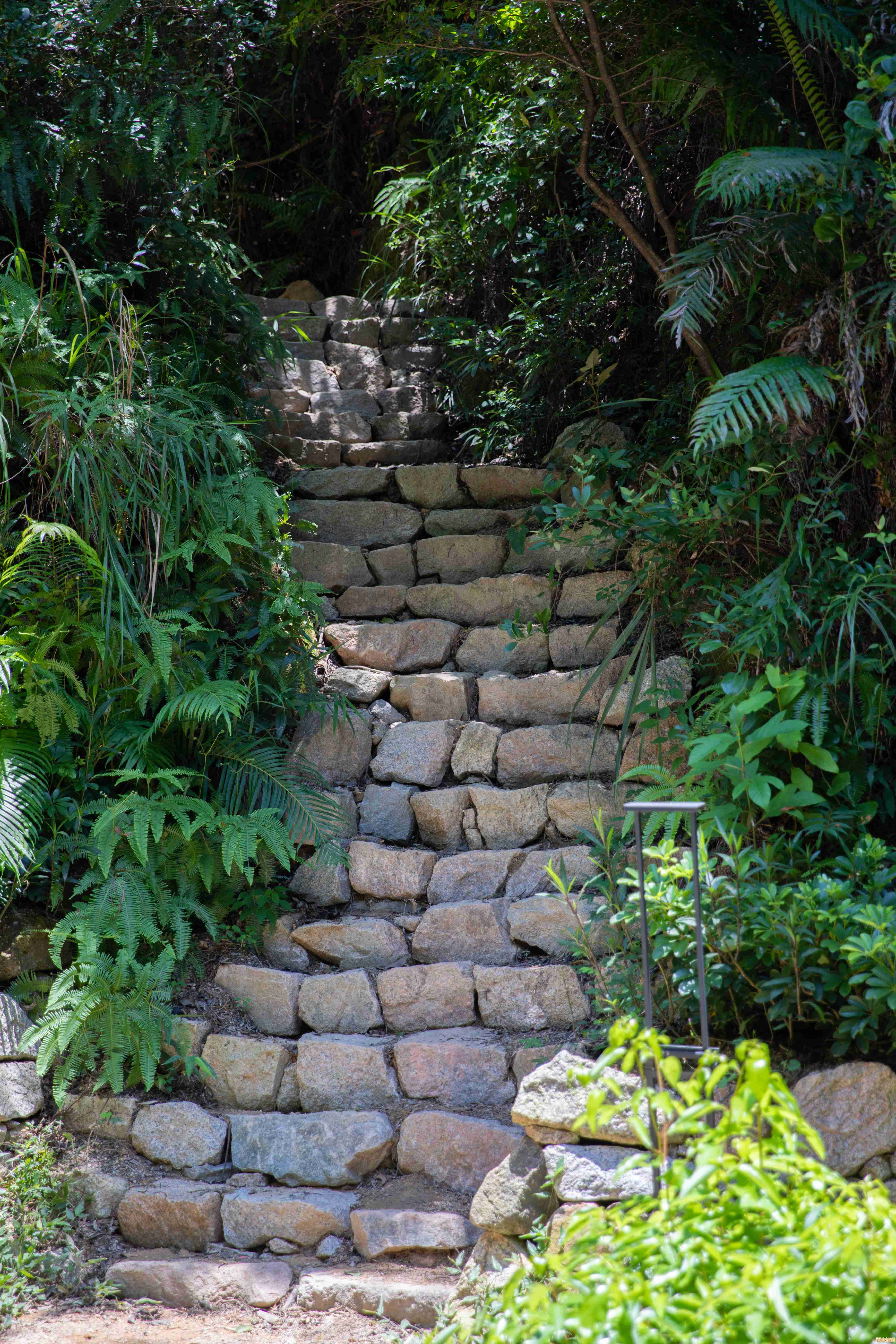 解码都市超级处理器天梯图：如何塑造下一代技术革命与进步蓝图