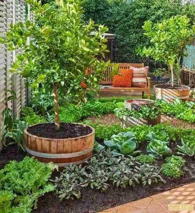 种花种菜还能做料理？角落萌宠农场》的治愈之旅你体验了吗？