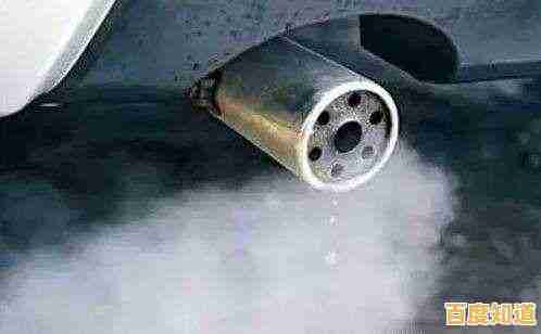 指令挑战与时尚搭配两不误？加查Nox免费版让你畅玩到底，怎能错过？