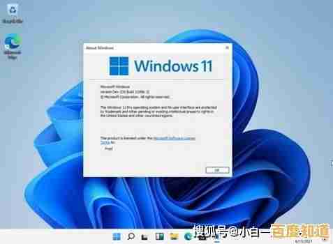 遇到Win11安装失败别慌张,实用修复方案全面解析 遇到Win11安装失败别慌张,实用修复方案全面解析