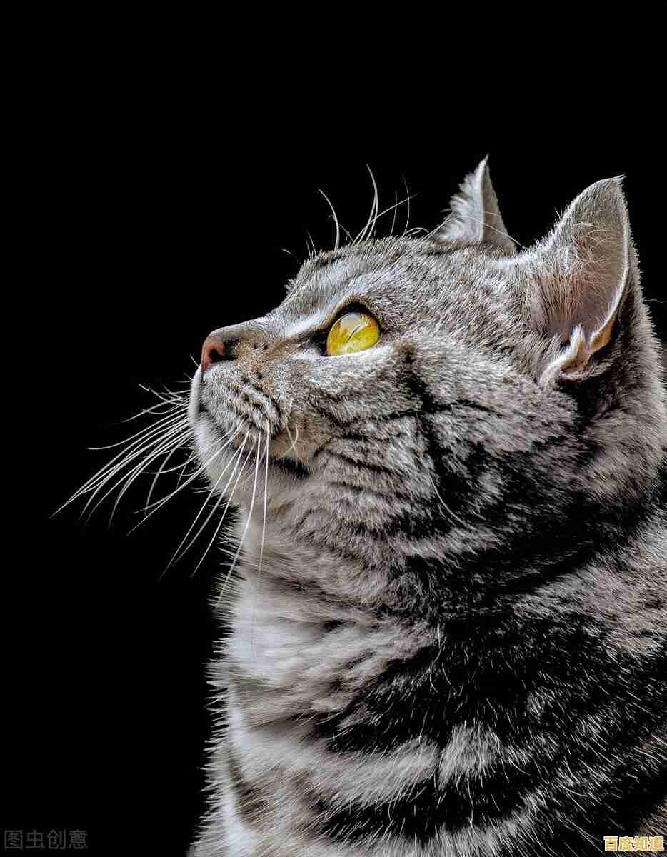 你敢挑战《乞丐模拟器》吗?在警官追捕与恶劣天气中挣扎求生的硬核模拟! 你敢挑战《乞丐模拟器》吗?在警官追捕与恶劣天气中挣扎求生的硬核模拟!