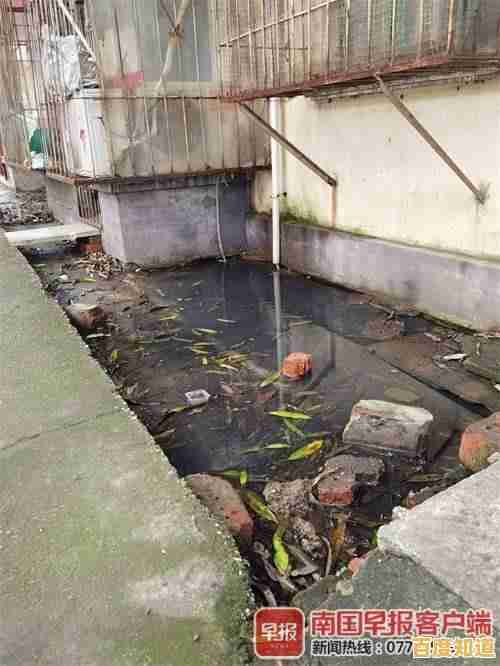 想体验经典的社区互动?冒泡社区旧版》满足你所有游戏需求! 想体验经典的社区互动?冒泡社区旧版》满足你所有游戏需求!