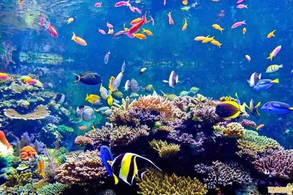 QQ游戏免费下载中心，热门游戏一网打尽，即刻开启欢乐之旅！