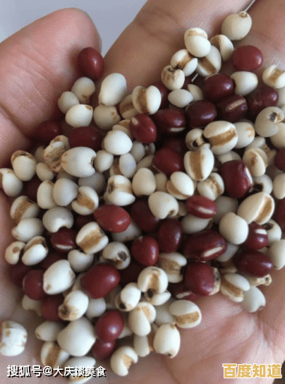 想在校园中体验自由探索的乐趣？快来试试《夏日变形计》吧！