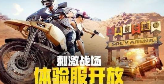 挑战印度玩家,争夺赛季排名!绝地求生印度服》还不快来下载? 挑战印度玩家,争夺赛季排名!绝地求生印度服》还不快来下载?