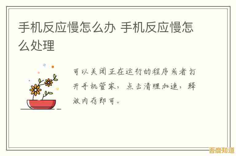 手机反应慢怎么回事？小鱼教您全面排查与优化步骤
