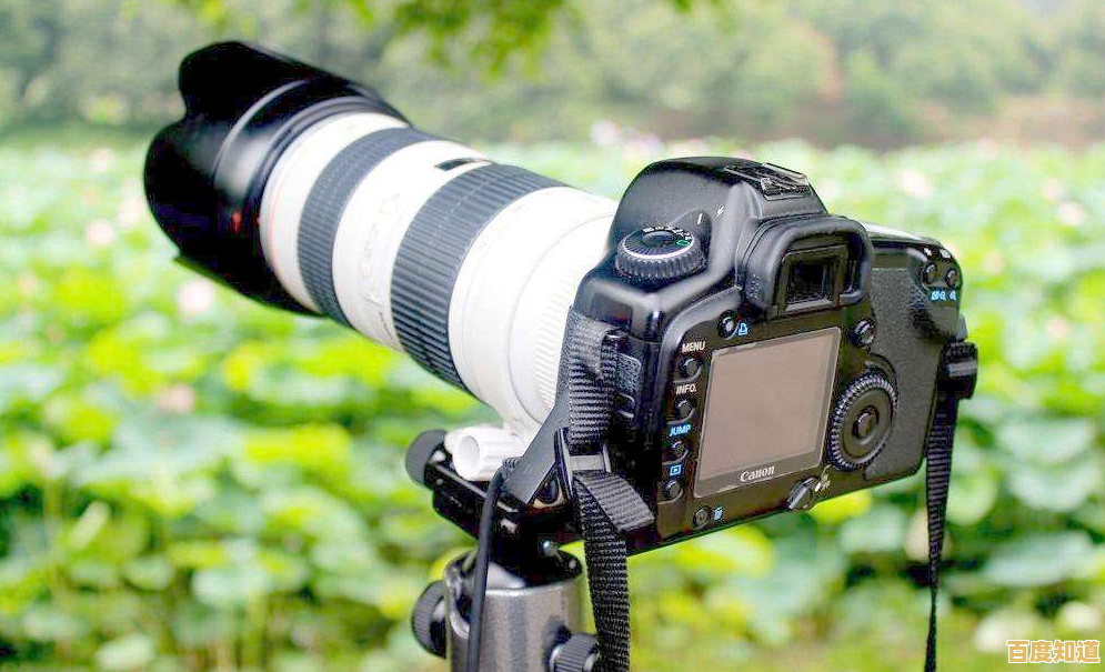 摄影必备单反天梯图：系统提升拍摄水平，快速登上创意摄影之巅！