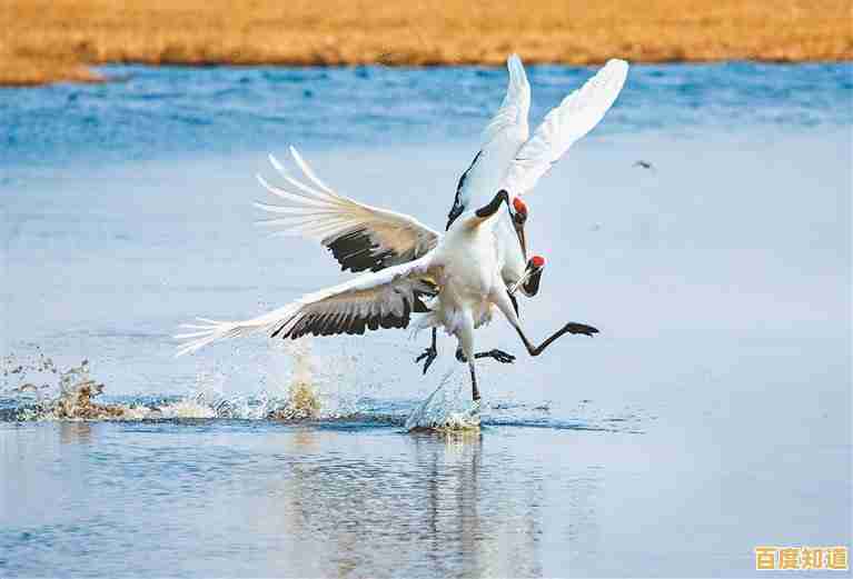 掌握PS羽化技巧,让你的照片化身仙鹤,展现空灵羽化之美! 掌握PS羽化技巧,让你的照片化身仙鹤,展现空灵羽化之美!