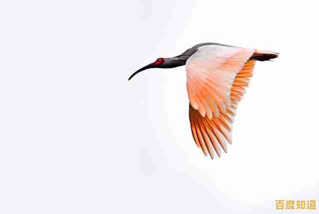 掌握PS羽化技巧,让你的照片化身仙鹤,展现空灵羽化之美! 掌握PS羽化技巧,让你的照片化身仙鹤,展现空灵羽化之美!