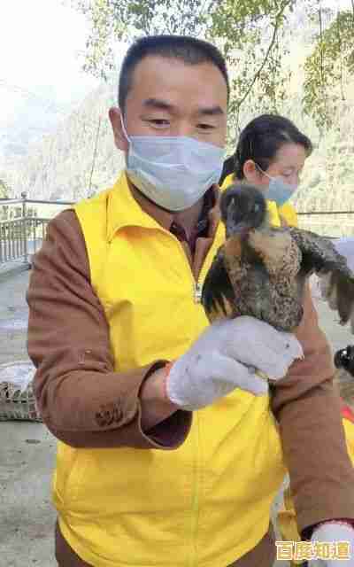 还在找趣味横版闯关?小鸡快跑》二段跳挑战等你来! 还在找趣味横版闯关?小鸡快跑》二段跳挑战等你来!