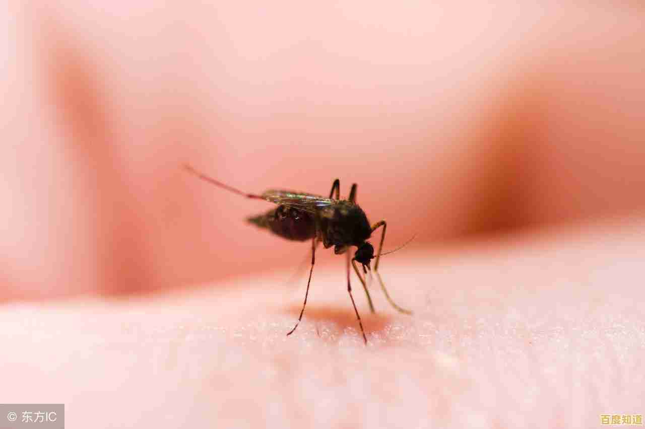 想重温经典？空当接龙经典免费版》等你来挑战！