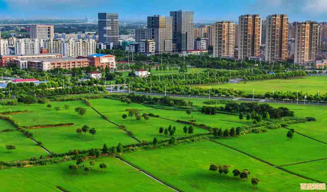 共创美好互联时代，手机网络无缝衔接你我他的每一刻精彩