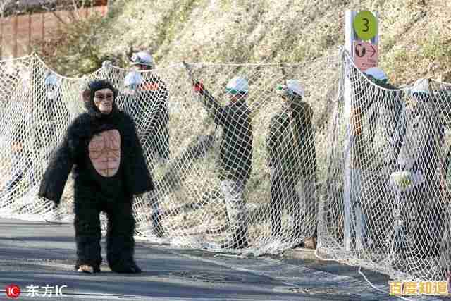 空闲动物园管理员"谁说经营动物园只能枯燥乏味？