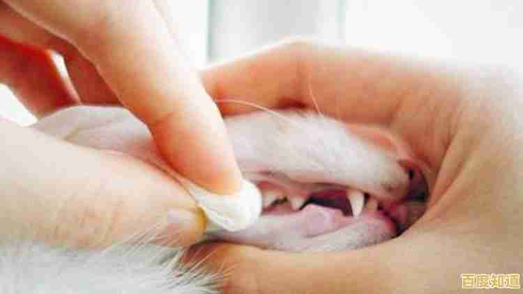 想体验轻松养成的乐趣?遇见你的猫》等你来探索! 想体验轻松养成的乐趣?遇见你的猫》等你来探索!